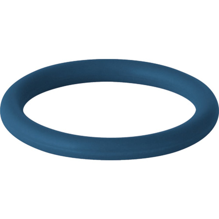 O-Ring GEBERIT Mapress FKM gumowy fpm/fkm (kauczuk fluorowy) 108mm, kolor niebieski