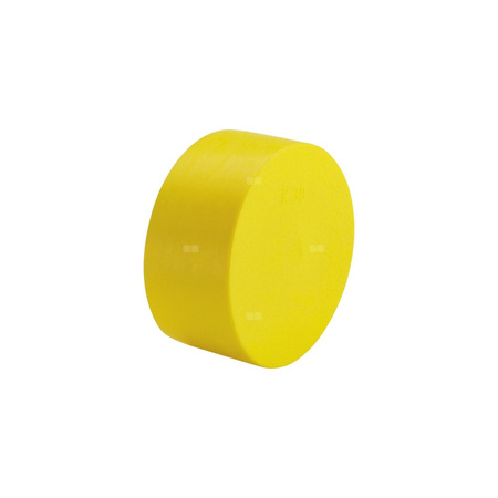 Zaślepka tworzywo VIEGA 22591XL fi 76.1 mm