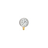 Manometr z rurką Bourdona AFRISO RF glicerynowy 0/2,5 bar G1/2B radialne fi 160 mm, kl. 1,0%