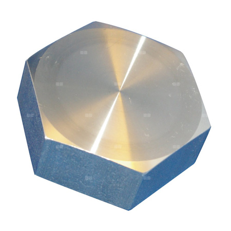 Kołpak gwintowany stal nierdzewna PN 16, przył. 2'' dł.81mm szer.70mm 2501216 WILO