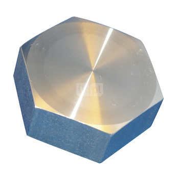 Kołpak gwintowany stal nierdzewna PN 16, przył. 1 1/2'' dł.64mm szer.55mm 2508120 WILO