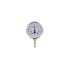 Termometr bimetaliczny AFRISO BiTh fi 100 mm -20…60'C tuleja 63 mm połączenie rad