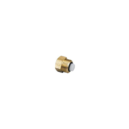 Zawór zwrotny HERZ DN 10 x DN 15 GZ PN 10 max. 100'C