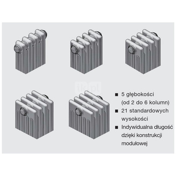 Grzejnik Zehnder Charleston 3055 - 20 elem., Kolor Biały (RAL 9016), Typ złącza Code V007, Wersja zaworu M30x1.5, Ustawienie wstępne VE9, Konsole ścienne SMB