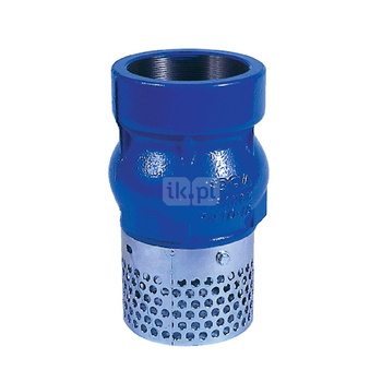 Kosz ssawny gwintowany wew., zamknięcie grzybkowe wspomagane sprężyną, typ 102, 3"