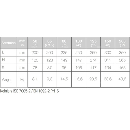 Wodomierz jednostrumieniowy suchobieżny przemysłowy, typu WDE-K50 DN 125 Q3=160 m3/h R160/100, Tmax: 50st.C, L=250 mm