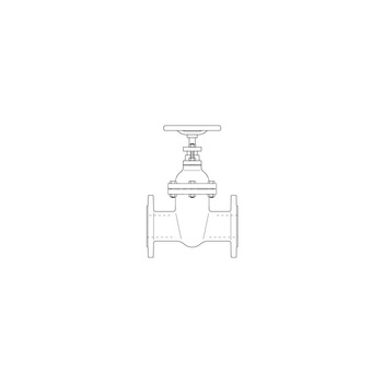 Hygate AFC, zasuwa kołnierzowa DN 50, PN16, z żeliwa szarego, kołnierz wg DIN EN 1092-2