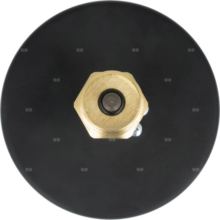 Manometr AFRISO TM aksjalne 1/4'' fi 80 mm, 0 - 4 bar, 20 - 120'C