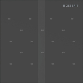 Elektroniczny zawór spłukujący Geberit do pisuaru, zasilanie 230V, Typ 40, stal nierdzewna czarny, prostokątny