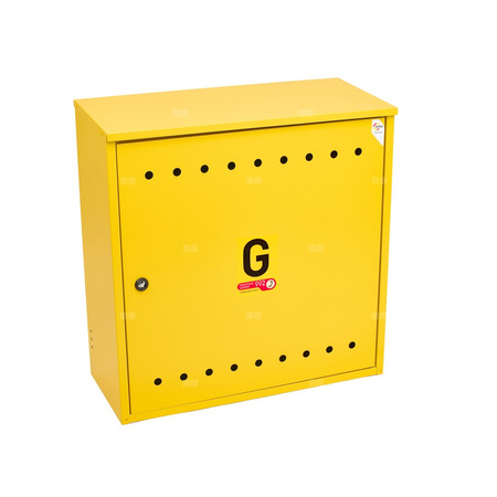 Skrzynka gazowa, 600x600x250, naścienna, metalowa, ze skośnym daszkiem - popielata