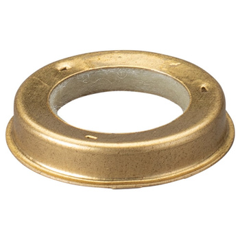 Pierścień filcowy REMS