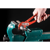 Szczypce nastawne do pomp wodnych 175