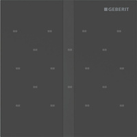 Elektroniczny zawór spłukujący Geberit do pisuaru, zasilanie 230V, Typ 40, stal nierdzewna czarny, prostokątny