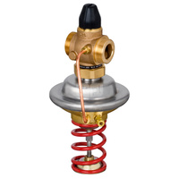 Regulator różnicy ciśnień z ograniczeniem przepływu AVPQ PN25 25/8 02-10/02 gw. pow.