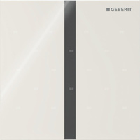 Elektroniczny zawór spłukujący Geberit do pisuaru, zasilanie 230V, Typ 40, szkło sand grey, prostokątny