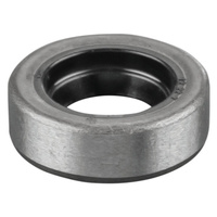 Pierścień uszczelniający wału