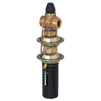 Regulator różnicy ciśnień z ograniczeniem przepływu AVPQ PN16 15/25 01-05/02 gw. pow.