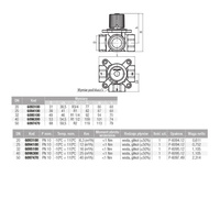 CONTROLMIX3 Zawór mieszający 3-drogowy DN50