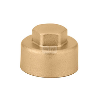 Korek. Do rozdzielaczy serii 349, 350, 592, 650 i 663 3/4" GW