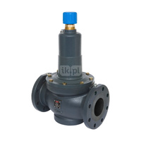 Zawór równoważący ASV-PV 20-40 kPa DN100