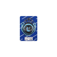 Zestaw oringów S D37152