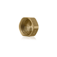 Zaślepka mosiądz FITTING STANDARD 3/4'' GW